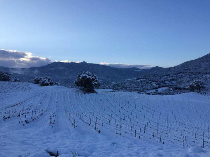 28503760 10214682252313018 1480798482 o