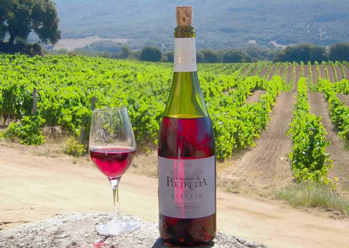 Vignoble à Mezzavia