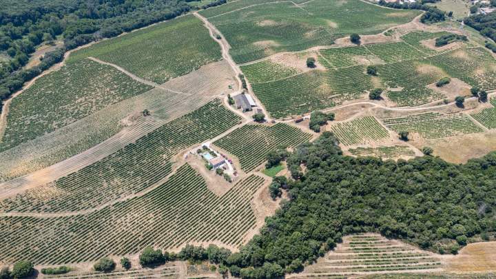 Vignoble Mezzavia