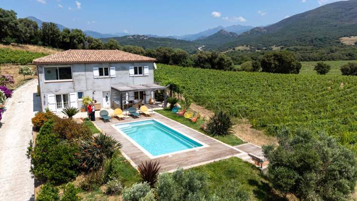 Goûter vin corse Mezzavia