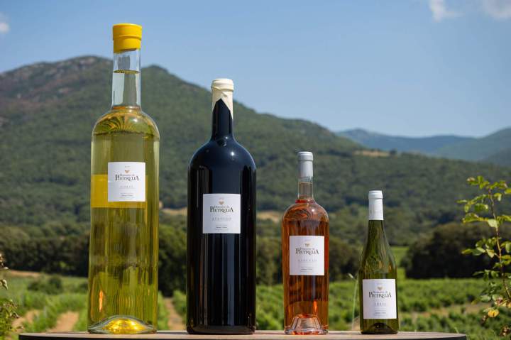 Dégustation et vente de vins Mezzavia