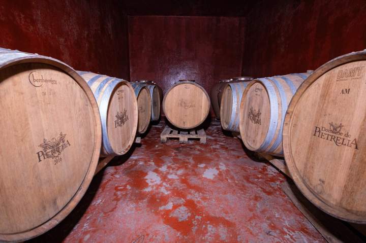 Explorez notre cave à vins à Mezzavia